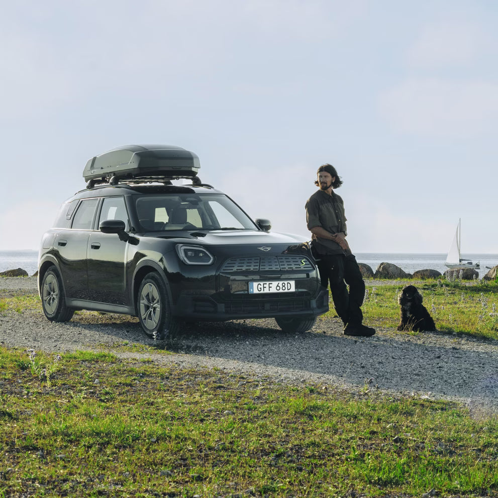 Dachbox Thule Force 3