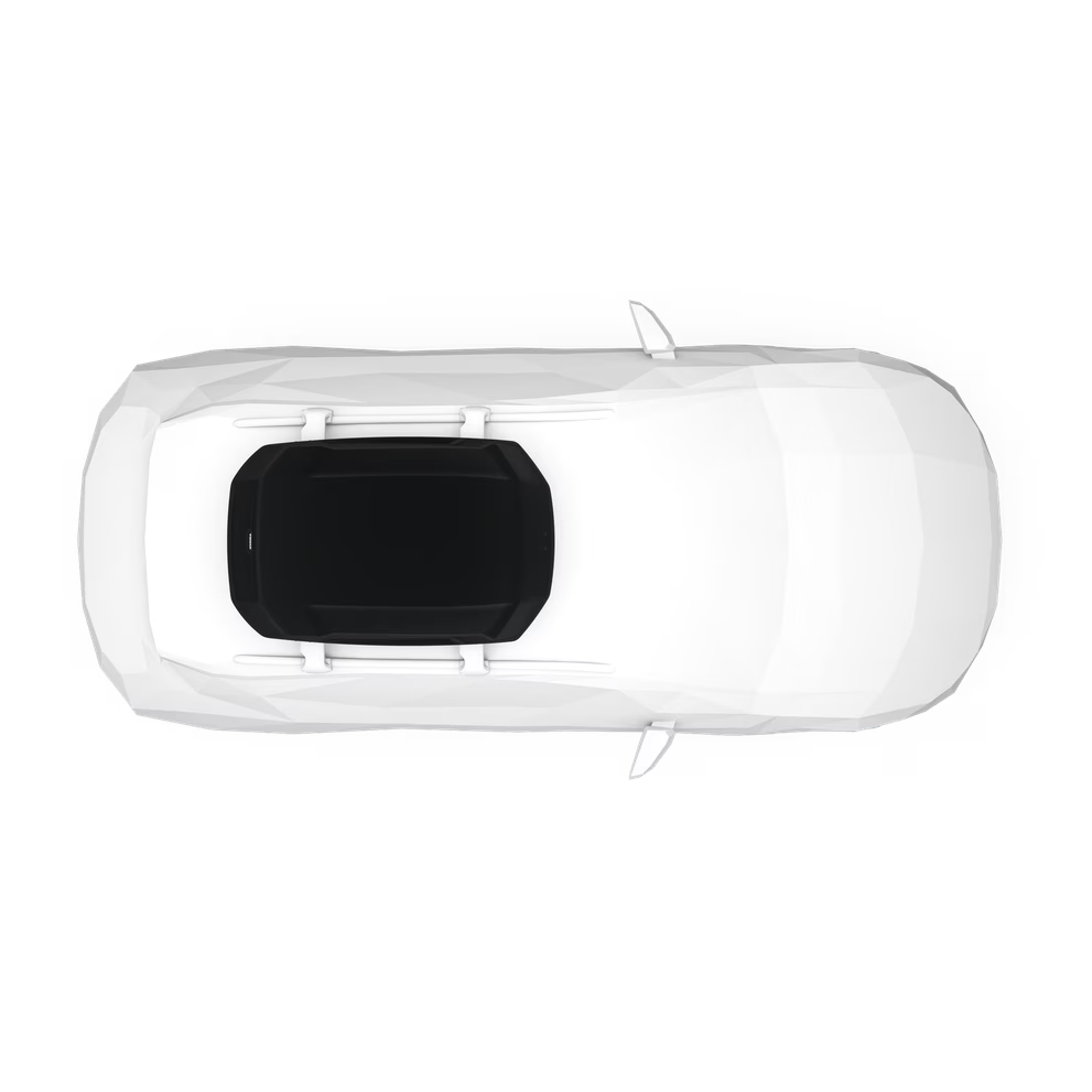 Dachbox Thule Force 3